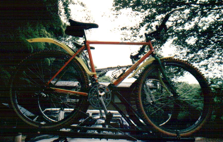 Precious Time Old MTB
